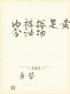 内裤总是黄色的分泌物