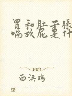 胃和肚子胀气打嗝放屁是什么原因