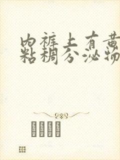 内裤上有黄色的粘稠分泌物