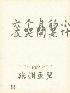 六个月的小孩半夜哭闹是什么原因