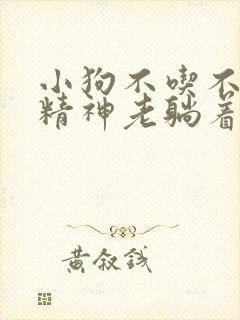 小狗不吃不喝没精神老躺着怎么办