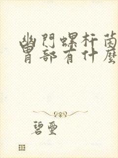 幽门螺杆菌感染胃部有什么症状