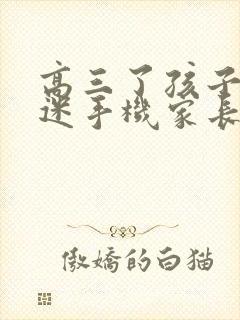 高三了孩子还沉迷手机家长如何做