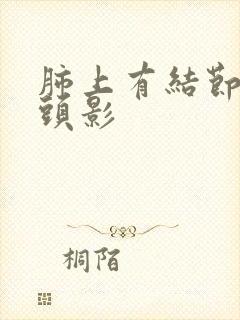 肺上有结节 乳头影