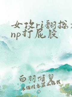 女攻ri翻总裁np打屁股