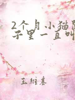 2个月小猫关笼子里一直叫