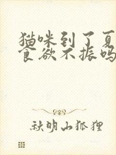 猫咪到了夏天会食欲不振吗