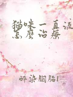 猫咪一直流口水怎么治疗