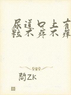 尿道口上有小颗粒不疼不痒