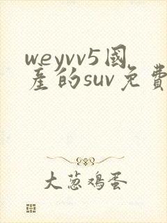 weyvv5国产的suv免费