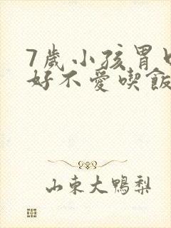 7岁小孩胃口不好不爱吃饭怎么办