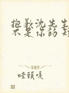 抱歉沈先生孩子不是你的 短剧