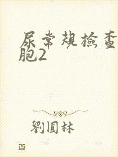 尿常规检查白细胞2