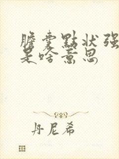 胆囊点状强回声是啥意思