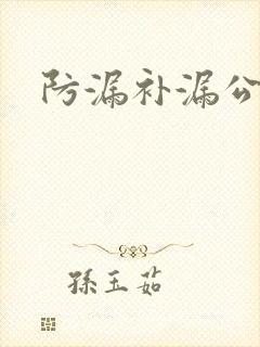 防漏补漏公司的