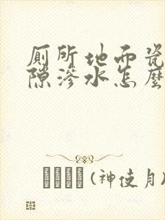 厕所地面瓷砖缝隙渗水怎么办