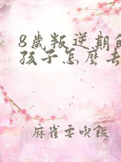 8岁叛逆期的男孩子怎么去引导