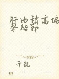 肝内稍高偏强回声结节