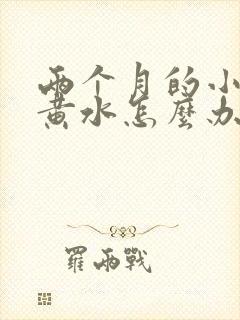 两个月的小猫吐黄水怎么办