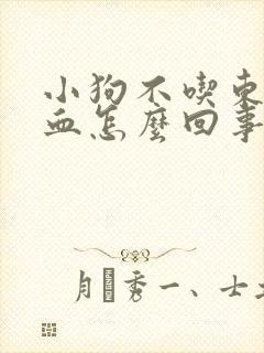 小狗不吃东西拉血怎么回事