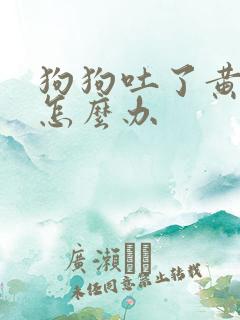 狗狗吐了黄液体怎么办