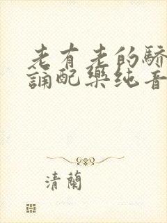 老有老的骄傲朗诵配乐纯音乐