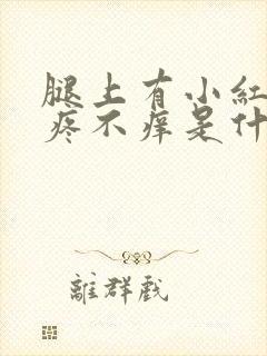 腿上有小红点不疼不痒是什么原因