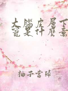 大脑皮层下缺血灶是什么意思