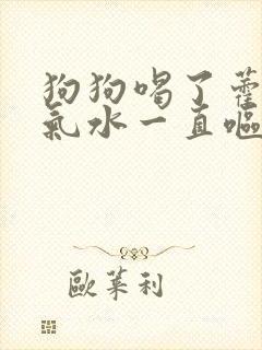 狗狗喝了藿香正气水一直呕吐怎么办