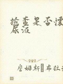 检查是否怀孕查尿液