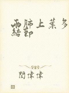 两肺上叶多发微结节