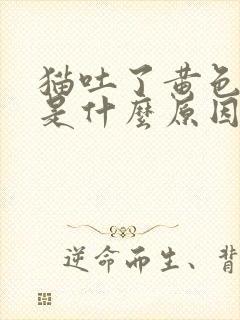 猫吐了黄色液体是什么原因