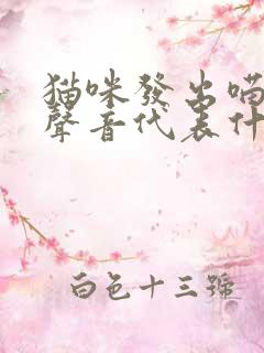 猫咪发出喵呜的声音代表什么