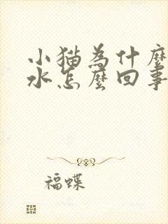 小猫为什么流口水怎么回事