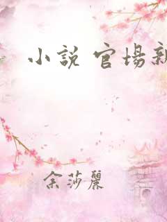 小说 官场新贵