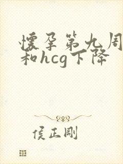 怀孕第九周孕酮和hcg下降