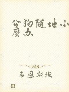 公狗随地小便怎么办