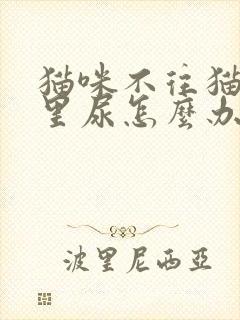 猫咪不往猫砂盆里尿怎么办?