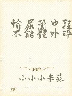 输尿管中段结石不能体外碎石