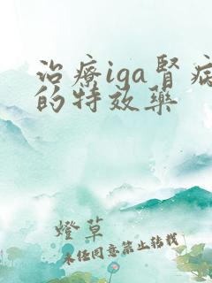 治疗iga肾病的特效药