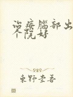 治疗脑部出血哪个院好