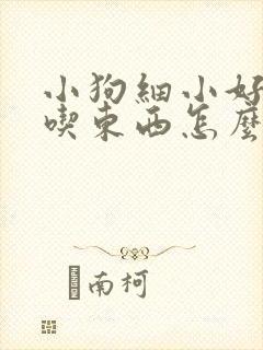 小狗细小好了不吃东西怎么办