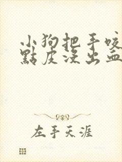 小狗把手咬破一点皮没出血有事吗