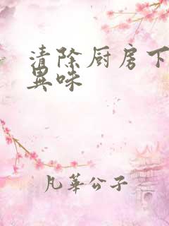 清除厨房下水道异味