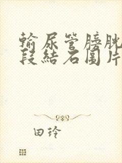 输尿管膀胱壁内段结石图片