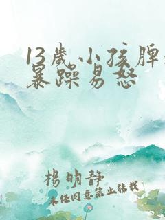 13岁小孩脾气暴躁易怒