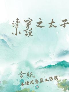 清穿之太子娇妃小说