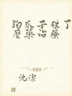 狗爪子破了用什么药治疗