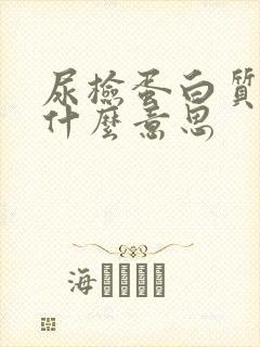 尿检蛋白质1+什么意思