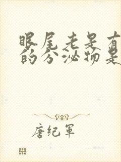 眼尾老是有白色的分泌物是怎么回事